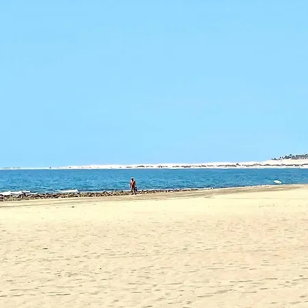 Vacacional Sur De Gran Canaria, Segunda Linea De Playa Con Wifi
